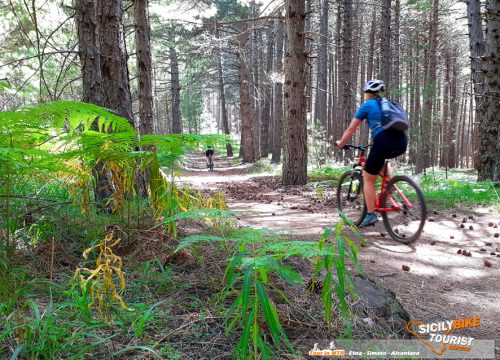 Etna MTB Excursion - © Etna Mountain Bike Tours by Sicily Bike Tourist Service 04