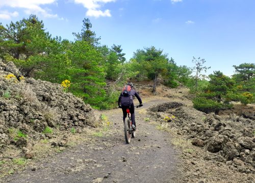 Mountain Biking Etna © Etna Mountain Bike Tours by Sicily Bike Tourist Service 06