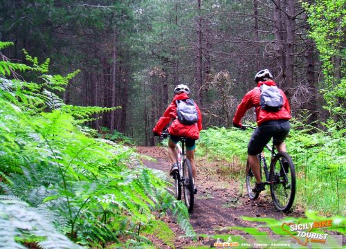 Esperienze Mountain Biking - Etna MTB Tour – Full Day - © Sicily Bike Tourist Service 06