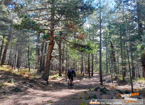 E-Bike Etna Experience - © Sicily Bike Tourist Service 06