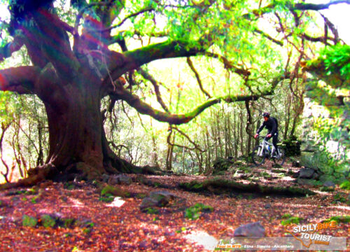 Etna MTB Tour – STRONG - © Sicily Bike Tourist Service 05