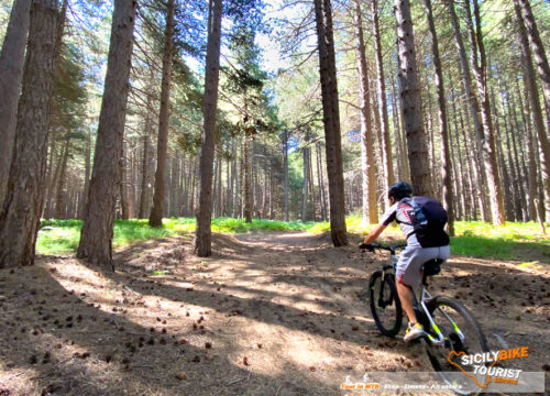 Etna Summit in E-Bike - © Sicily Bike Tourist Service 02